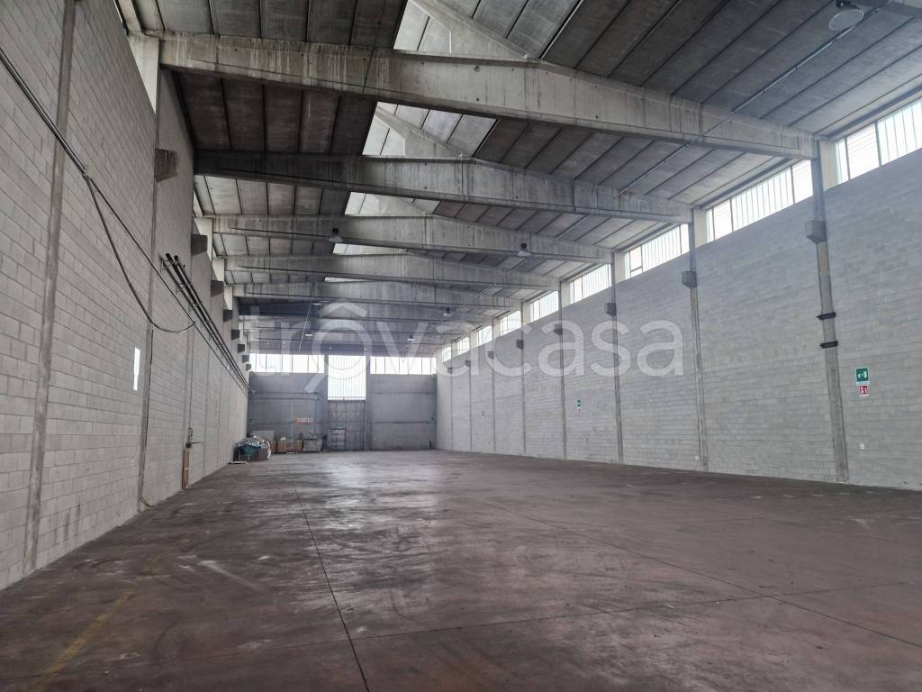 immagine annuncio 6 di 11