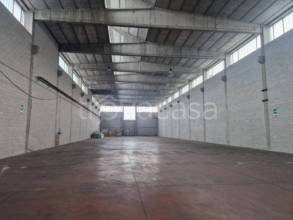 immagine annuncio 7 di 11