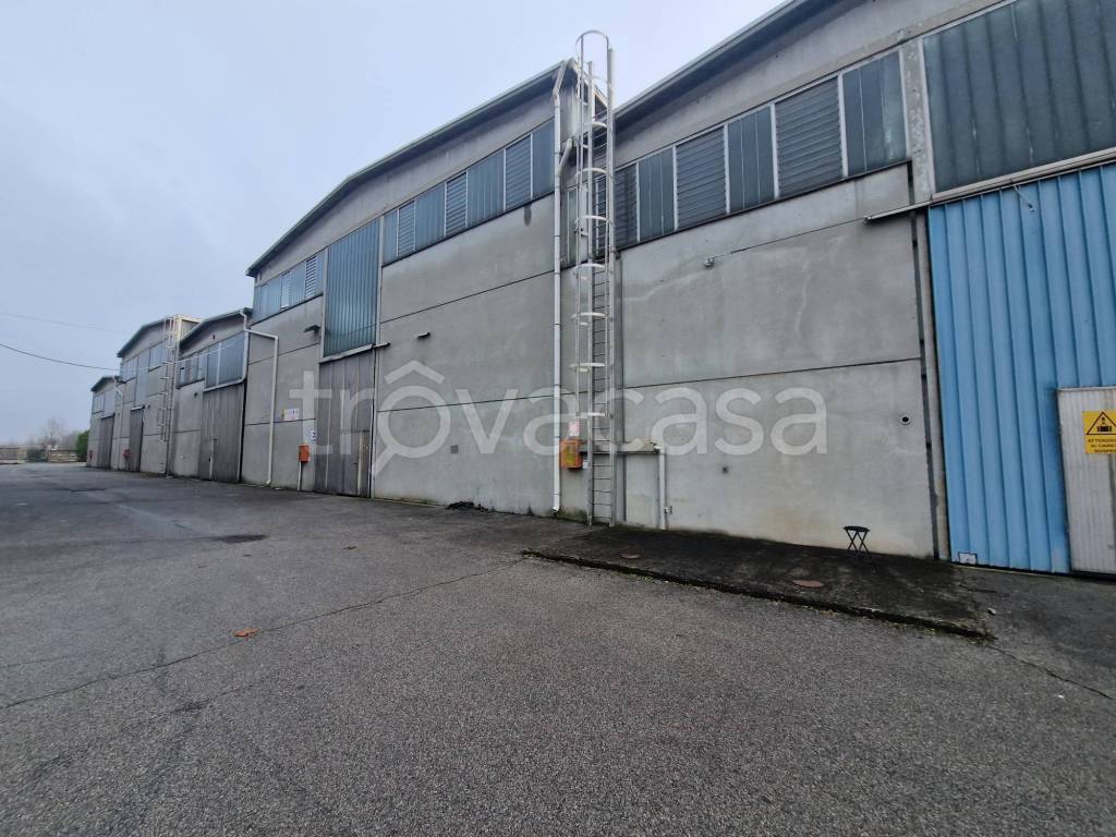 immagine annuncio 1 di 11