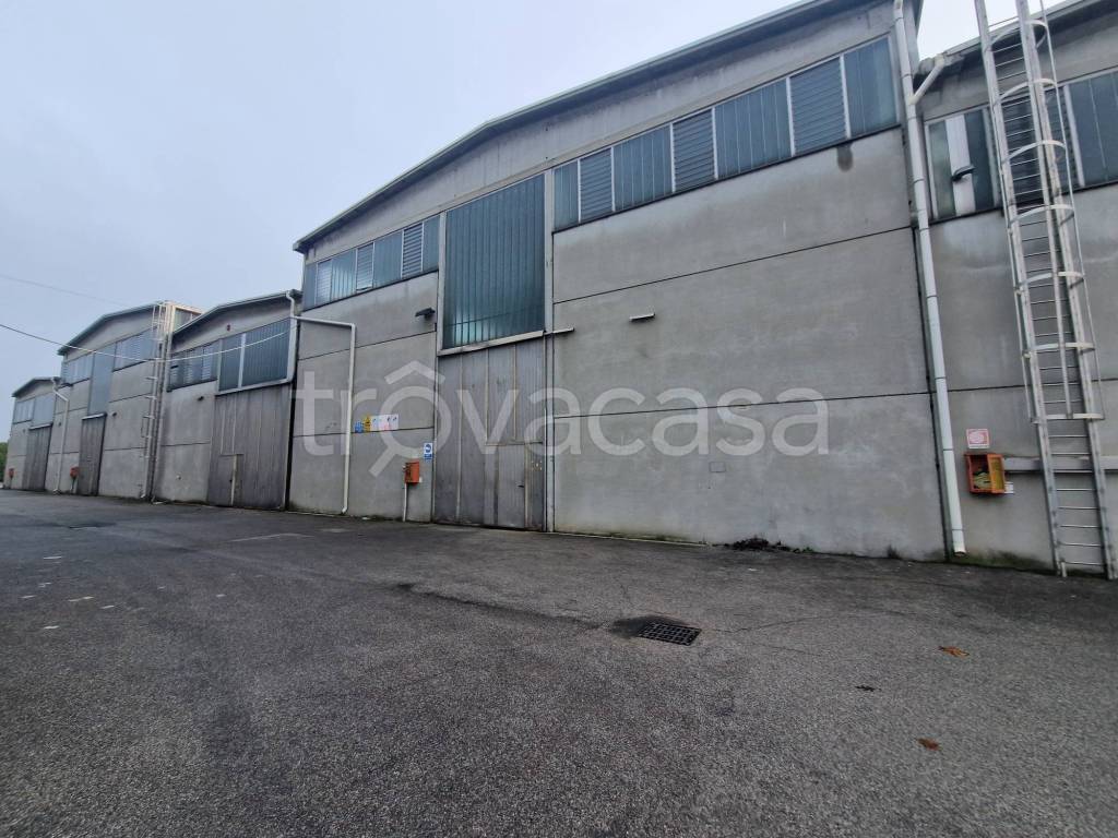 immagine annuncio 8 di 11