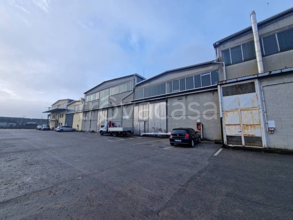 immagine annuncio 10 di 11