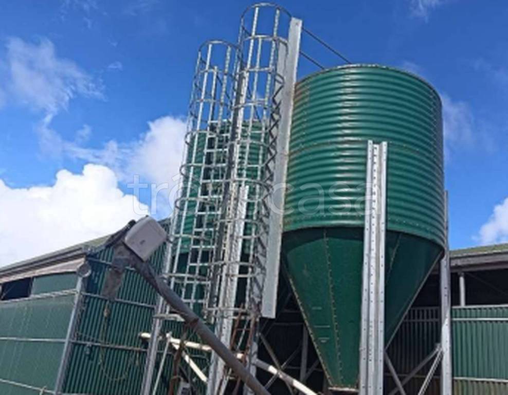 immagine annuncio 4 di 10