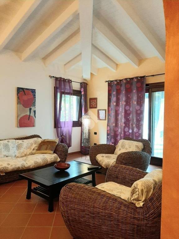 immagine annuncio 6 di 14