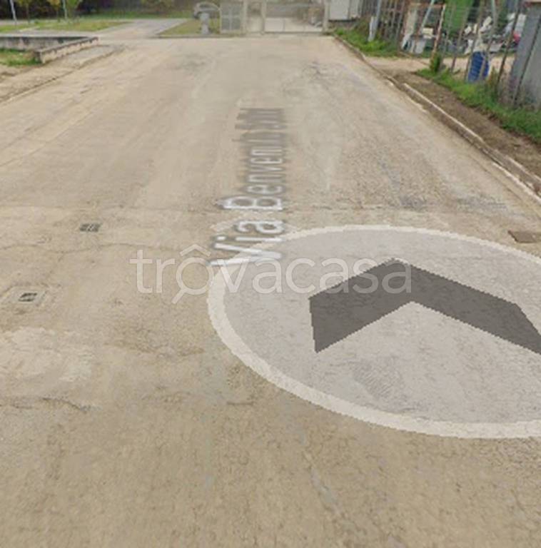 immagine annuncio 4 di 10