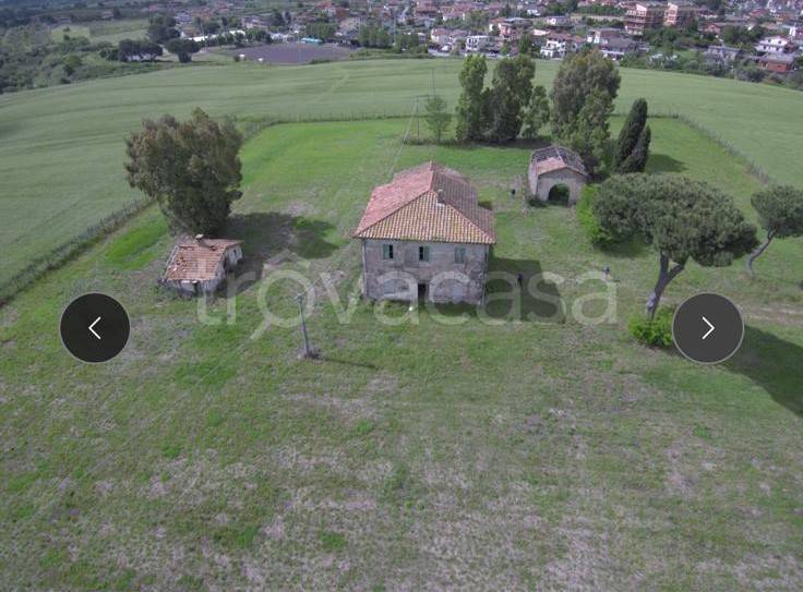 immagine annuncio 3 di 7