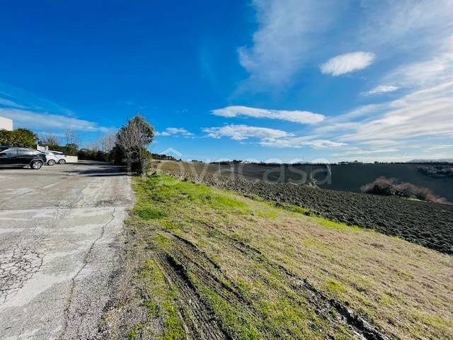 immagine annuncio 5 di 12