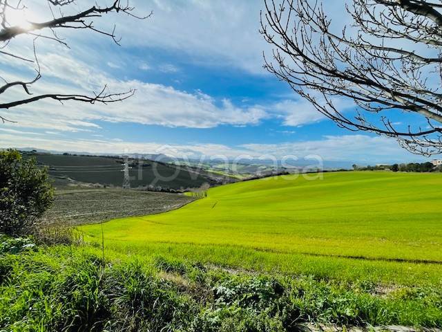 immagine annuncio 6 di 12