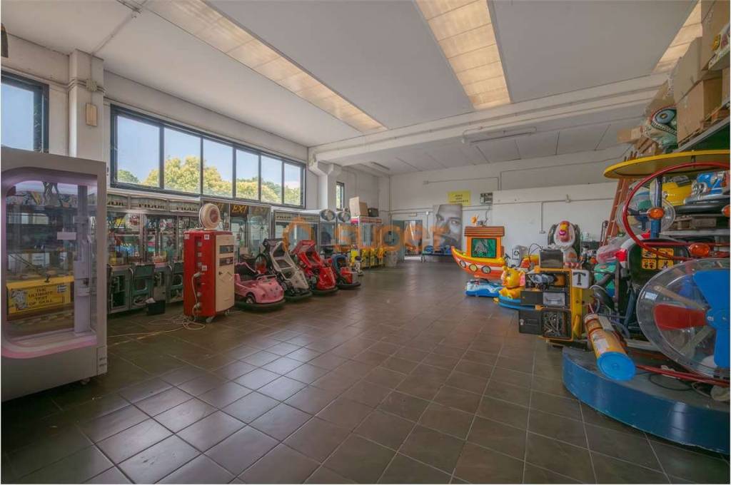 immagine annuncio 5 di 15