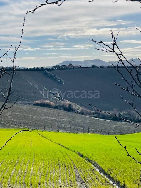 immagine annuncio 9 di 12