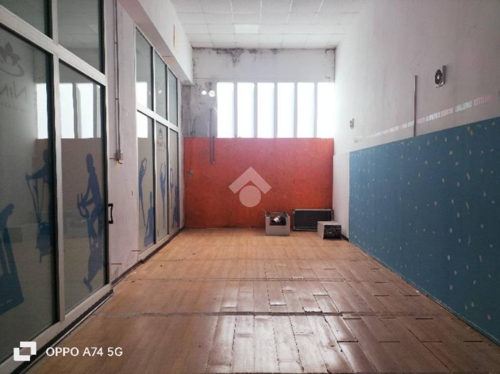 immagine annuncio 2 di 7