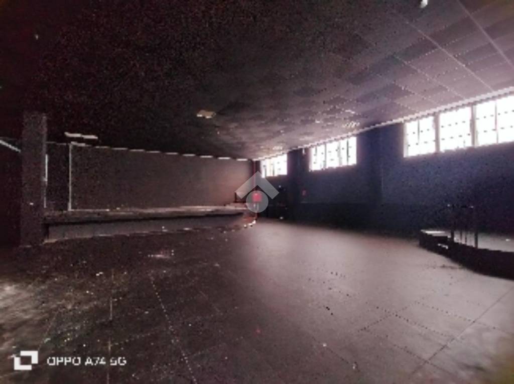 immagine annuncio 3 di 7