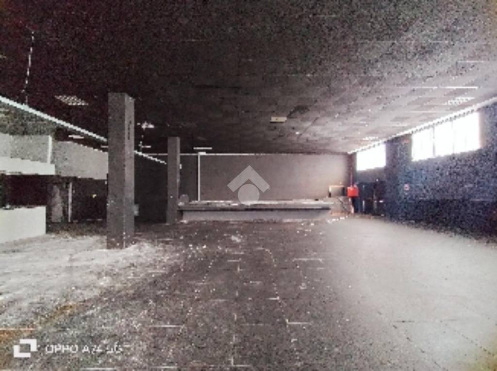 immagine annuncio 6 di 7