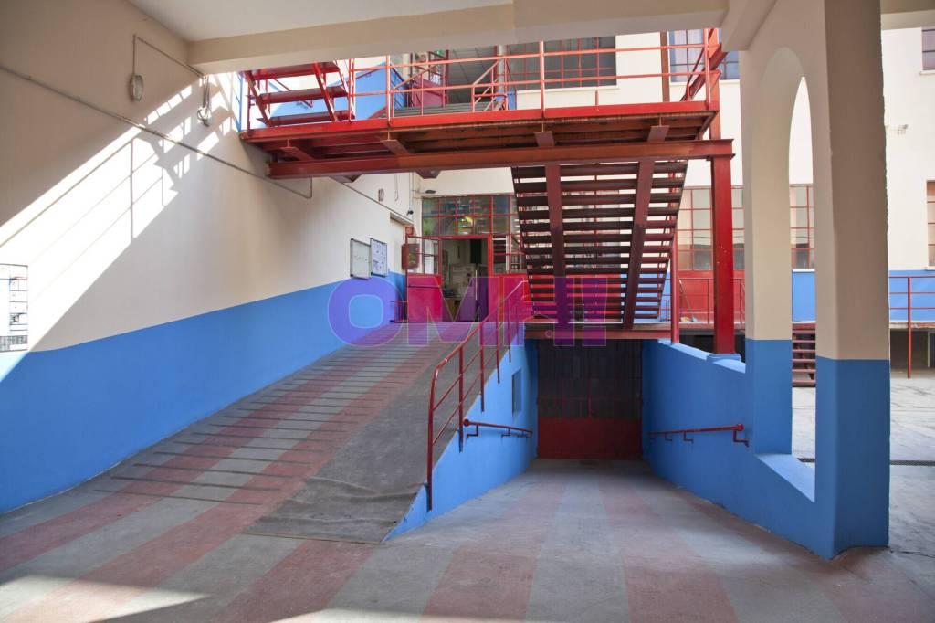 immagine annuncio 1 di 14