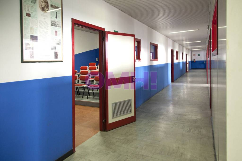 immagine annuncio 2 di 14