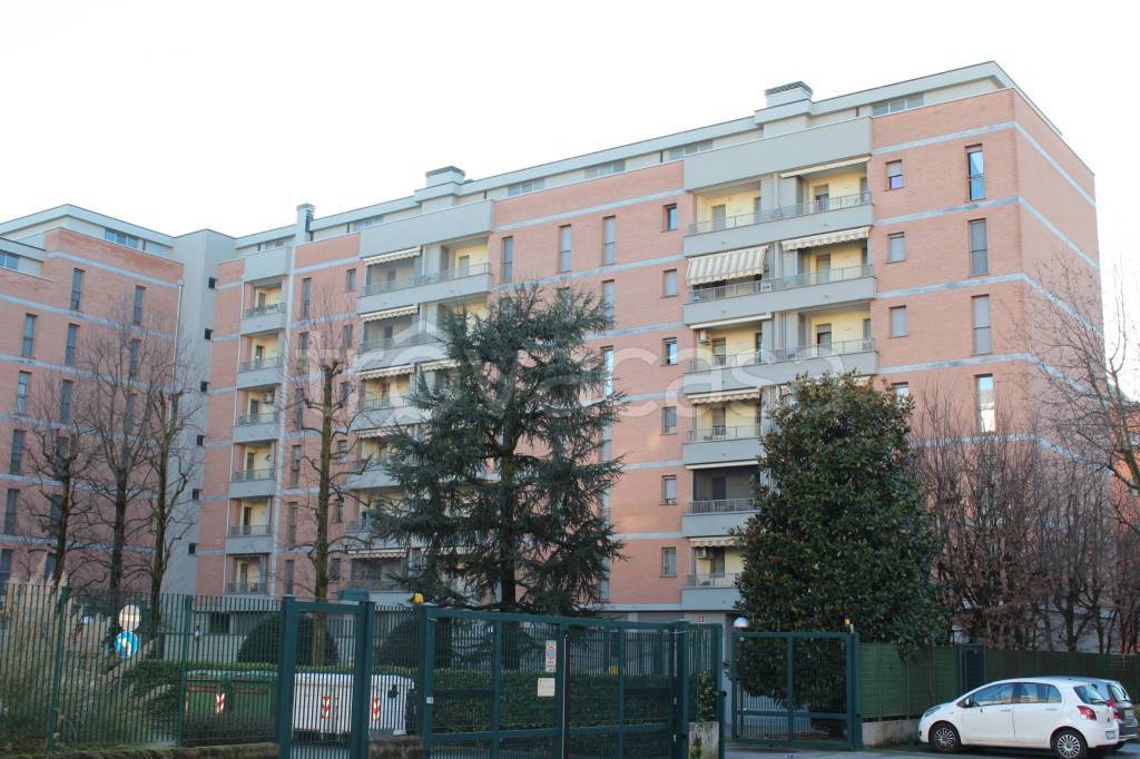 immagine annuncio 4 di 15