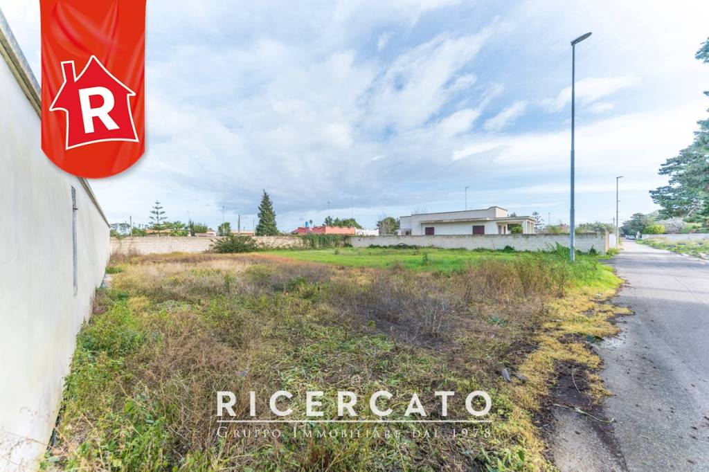 immagine annuncio 3 di 8