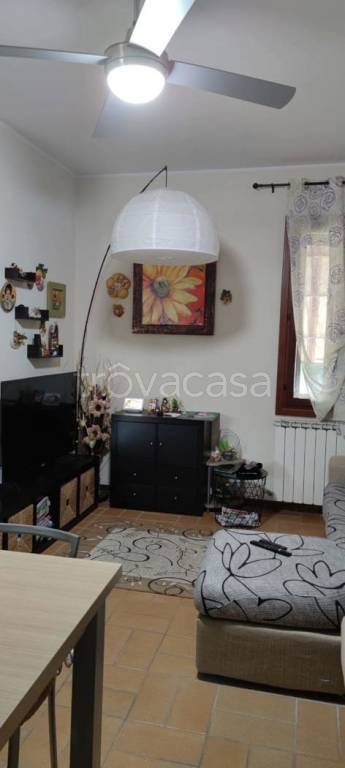 immagine annuncio 4 di 13