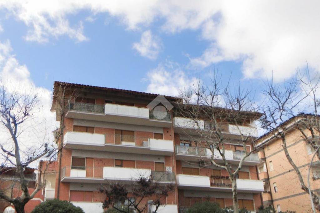 immagine annuncio 12 di 13