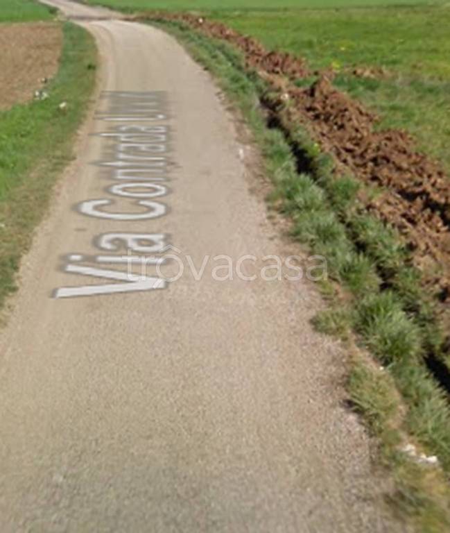 immagine annuncio 2 di 14