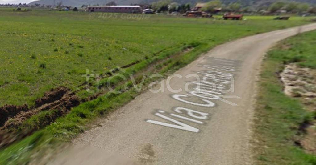 immagine annuncio 5 di 14