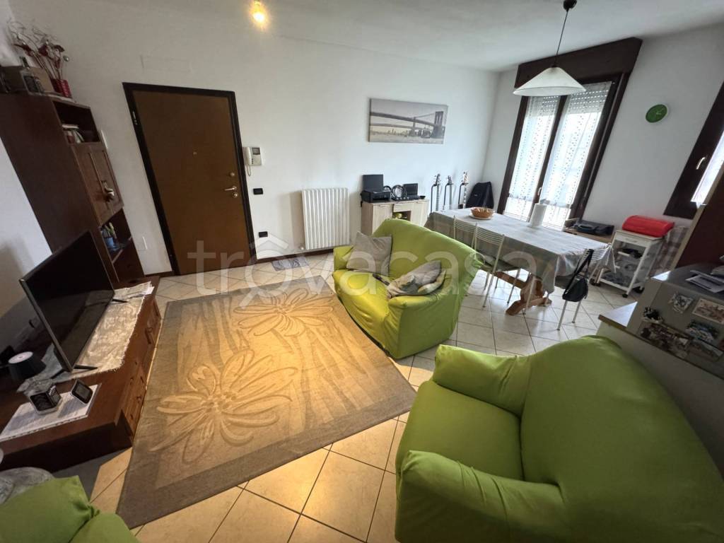 immagine annuncio 5 di 14