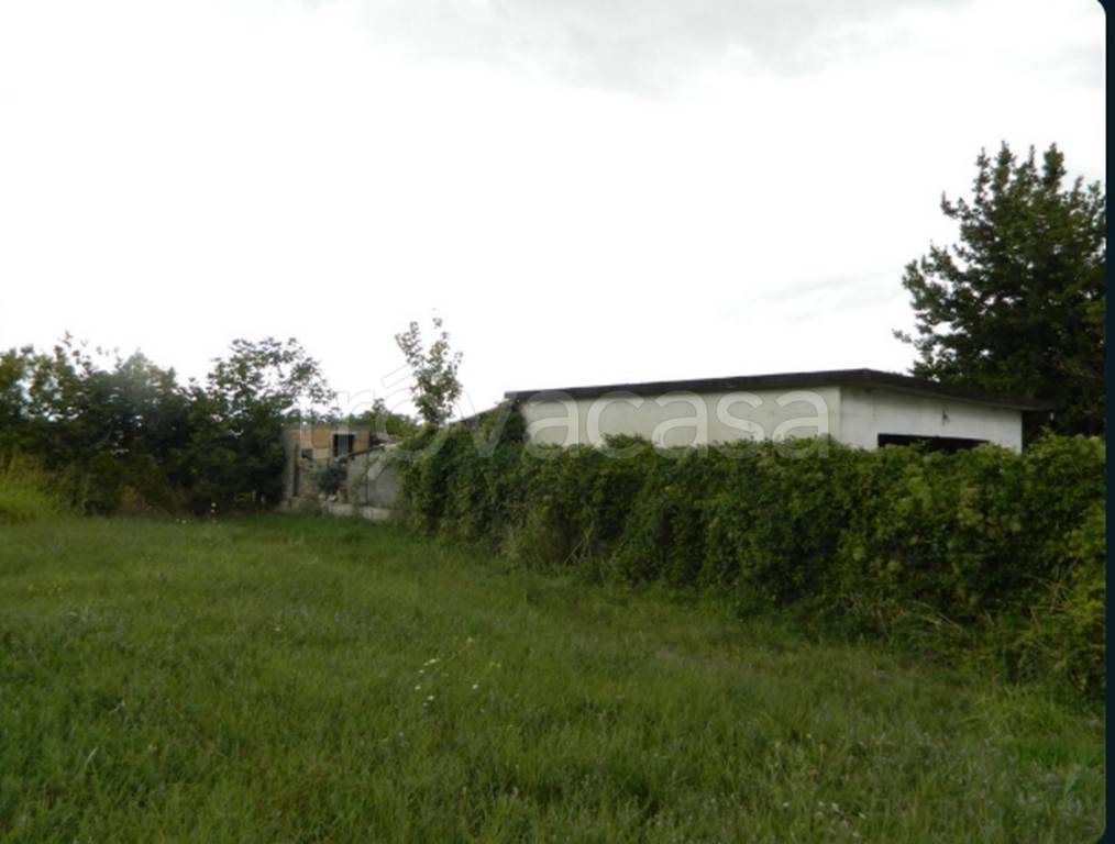 immagine annuncio 10 di 11