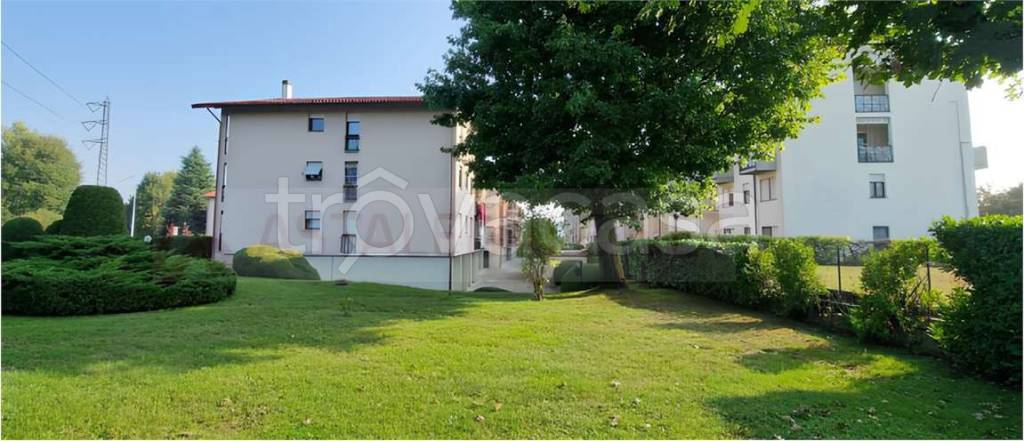 immagine annuncio 1 di 14