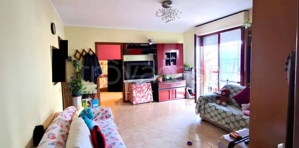 immagine annuncio 2 di 14