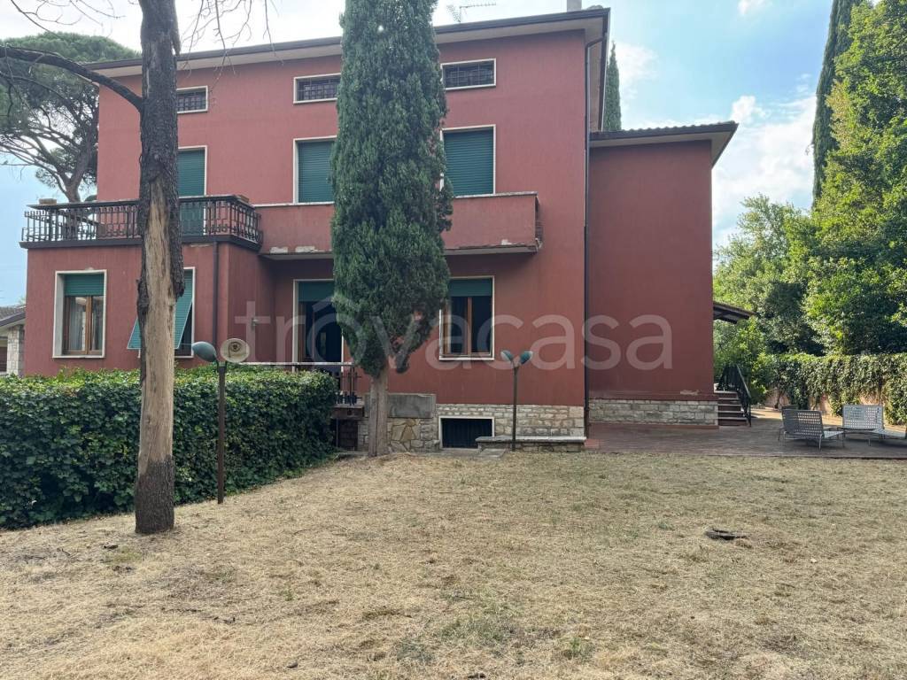 immagine annuncio 3 di 12