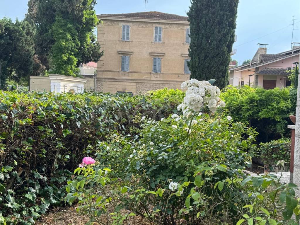 immagine annuncio 6 di 12