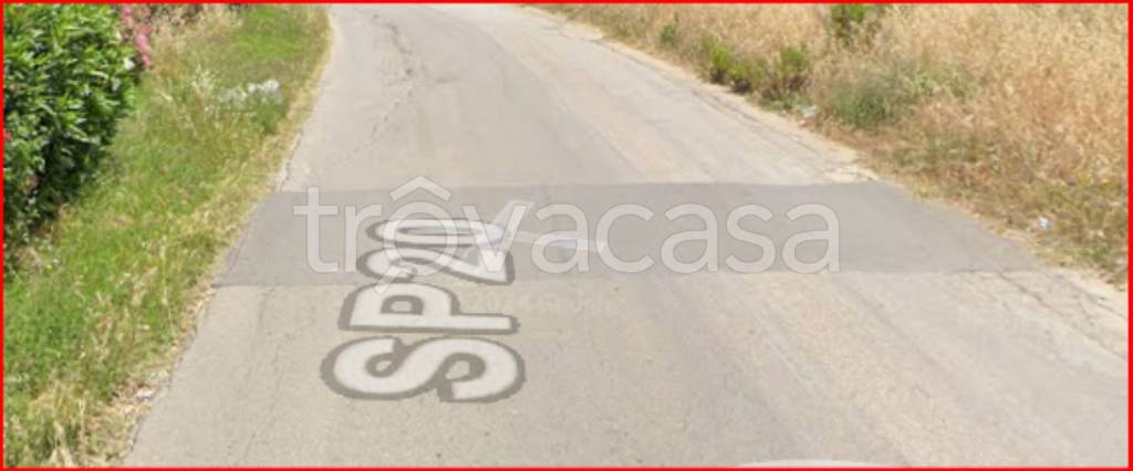 immagine annuncio 6 di 12