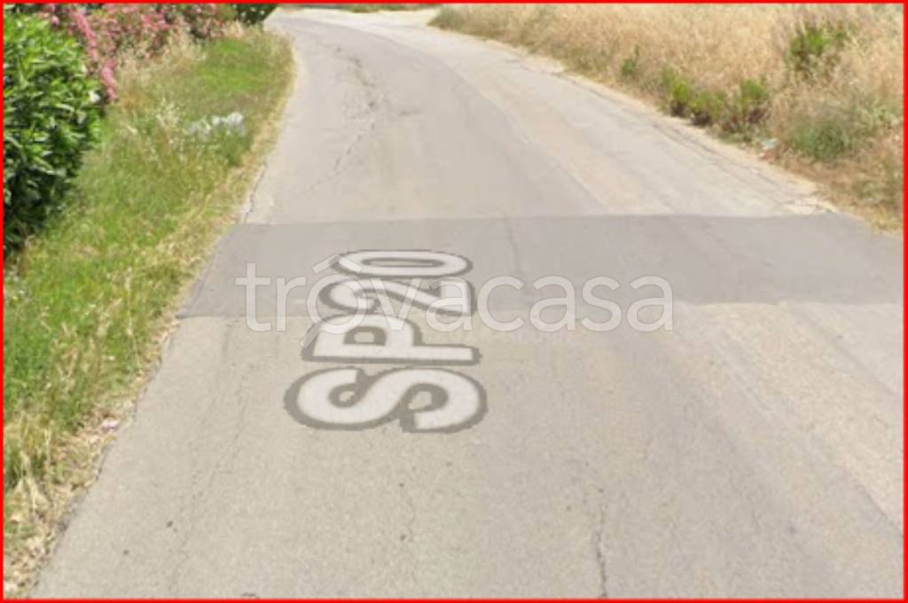 immagine annuncio 9 di 12