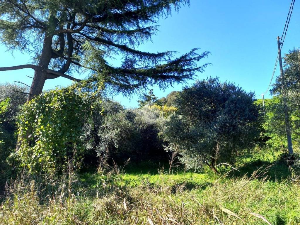 immagine annuncio 8 di 14