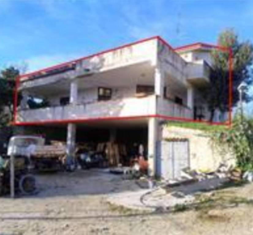 immagine annuncio 10 di 12