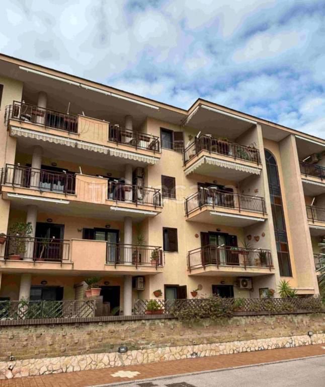 immagine annuncio 5 di 12