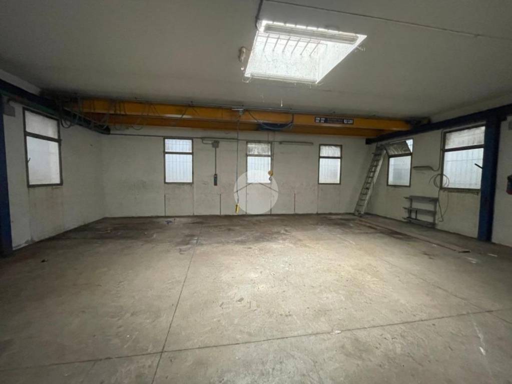 immagine annuncio 4 di 14