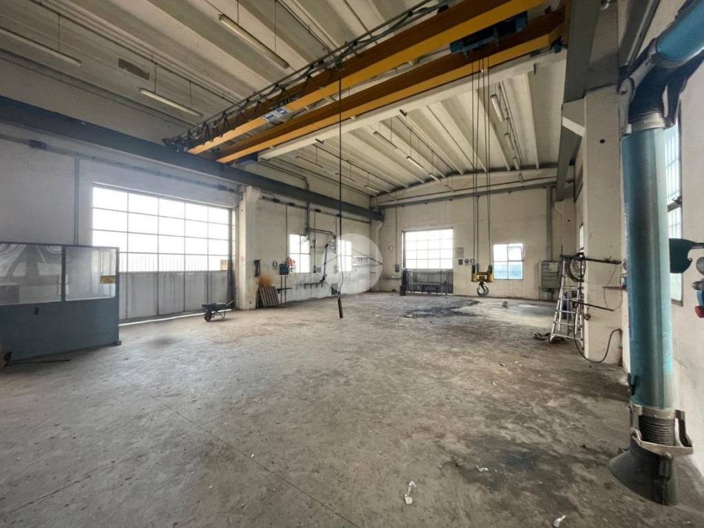 immagine annuncio 7 di 14