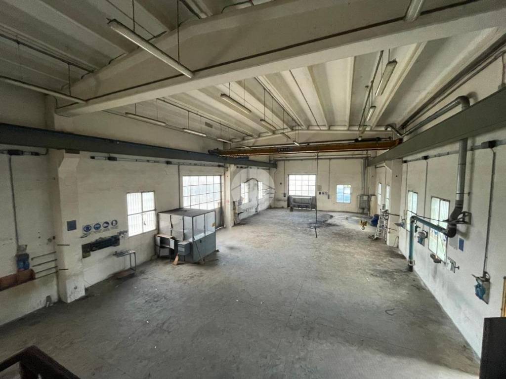 immagine annuncio 8 di 14