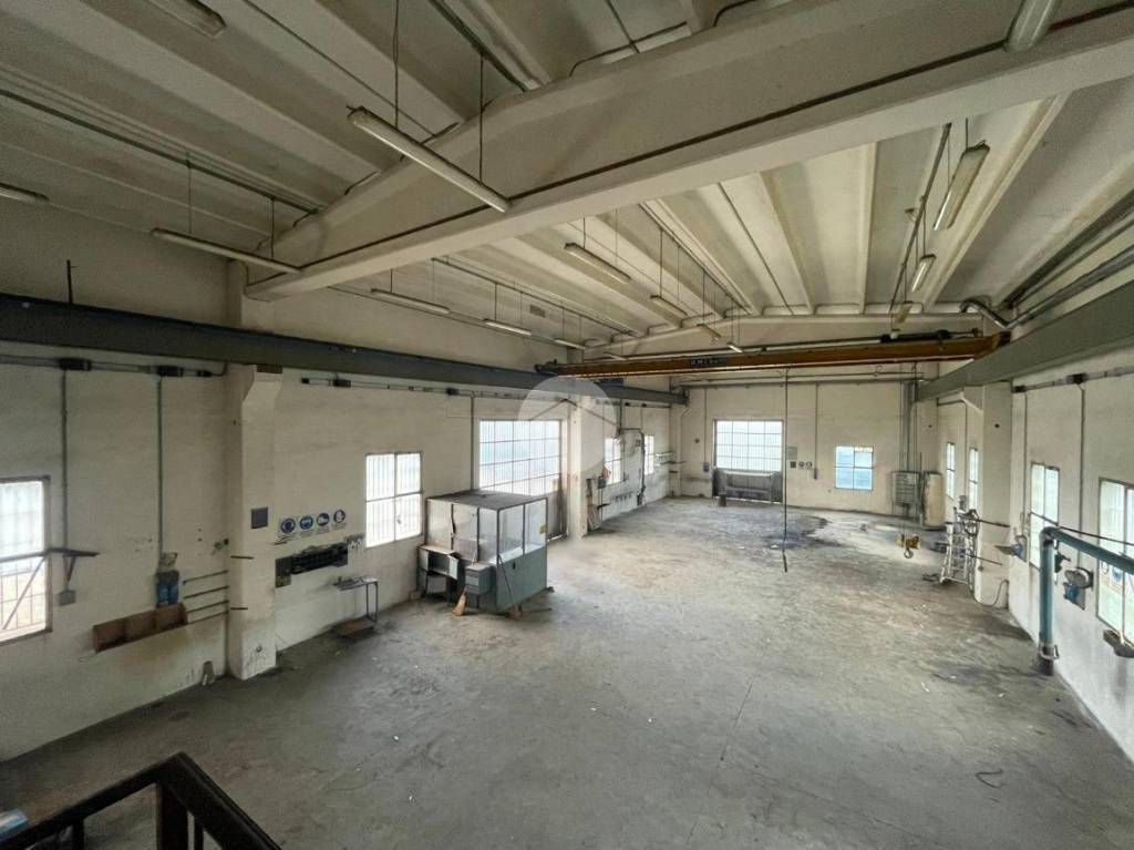 immagine annuncio 9 di 14