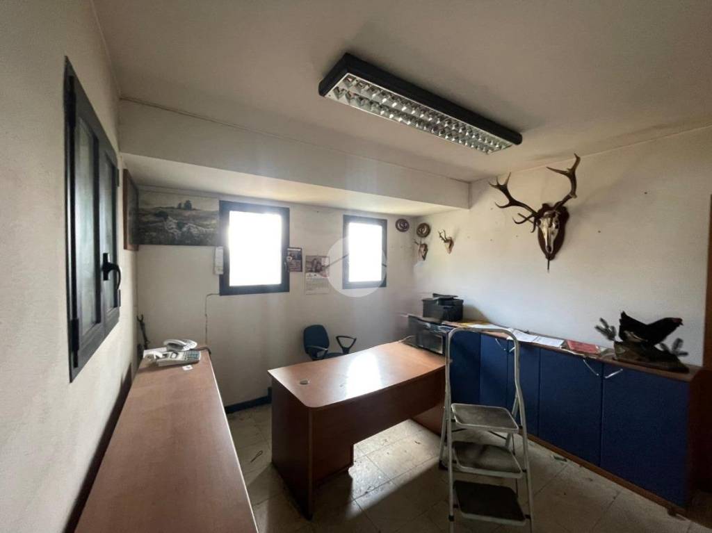 immagine annuncio 10 di 14