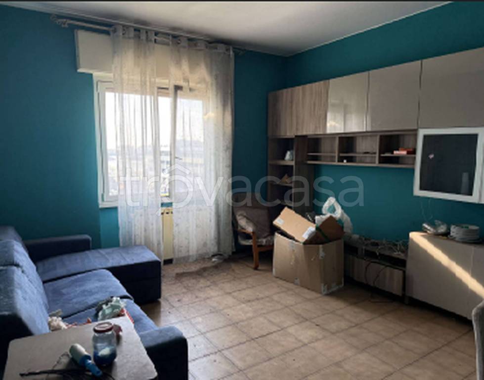 immagine annuncio 12 di 13