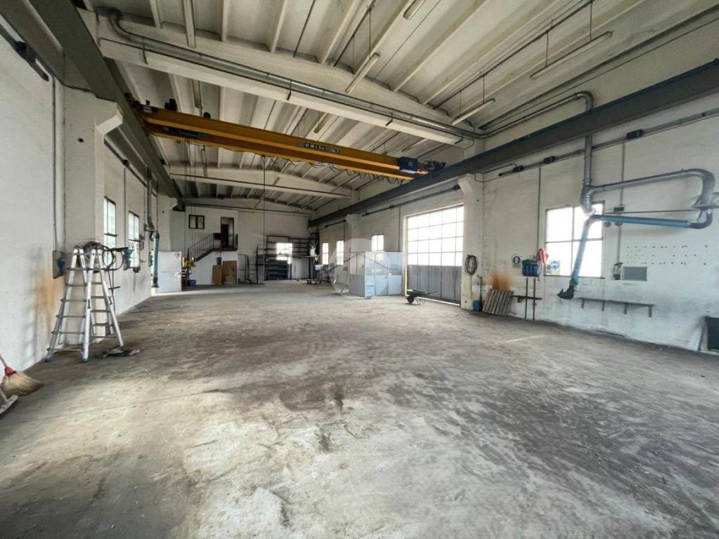 immagine annuncio 1 di 15