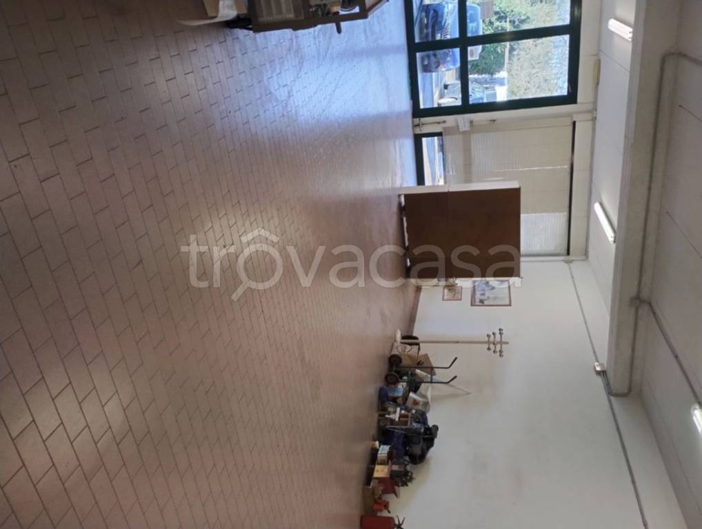 immagine annuncio 5 di 6