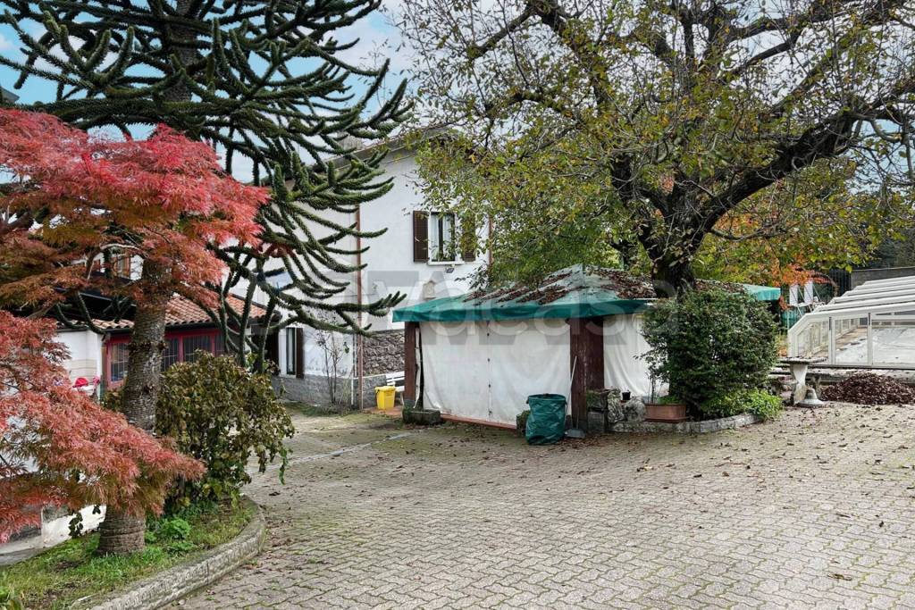 immagine annuncio 1 di 14