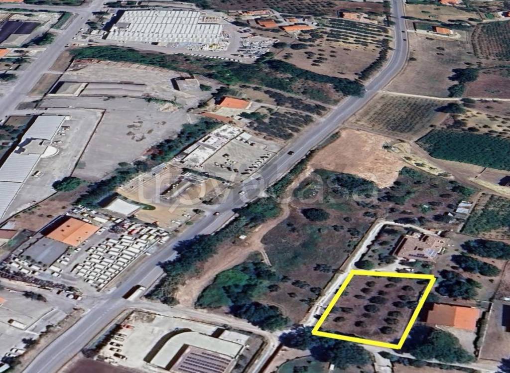 immagine annuncio 4 di 8