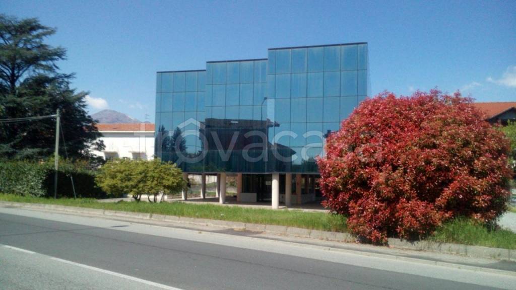 immagine annuncio 5 di 7