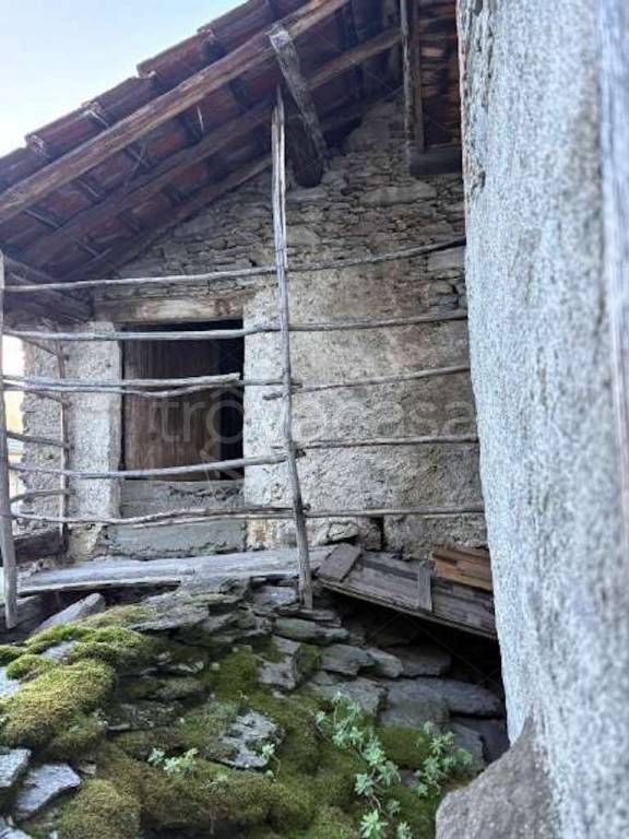 immagine annuncio 6 di 9