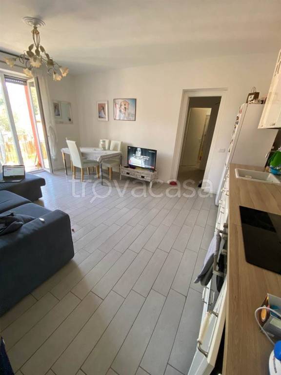 immagine annuncio 1 di 11