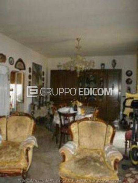 immagine annuncio 1 di 6