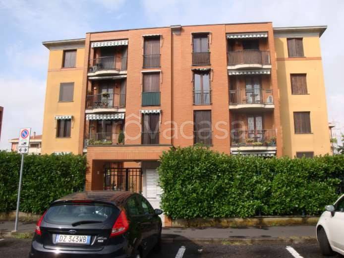 immagine annuncio 11 di 15